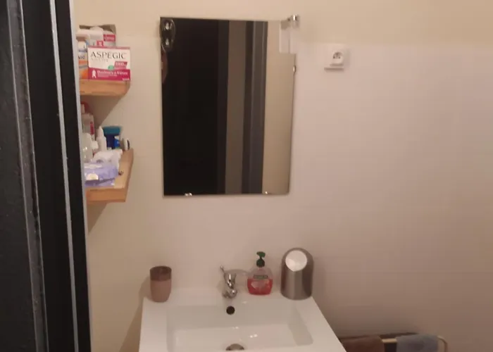 Entire For Rent Apartment Grenoble